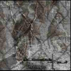 Process Of Guilt : Demising Grace